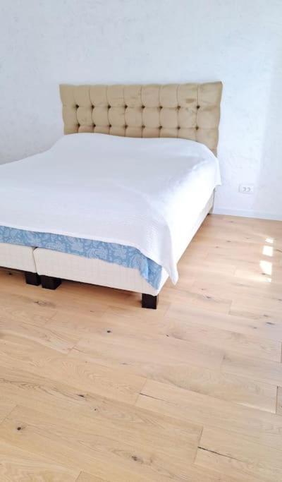 Pineview Lempes Villa Braşov Buitenkant foto