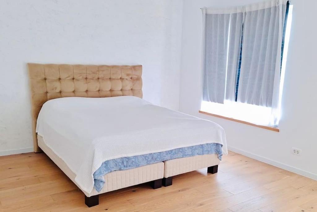 Pineview Lempes Villa Braşov Buitenkant foto