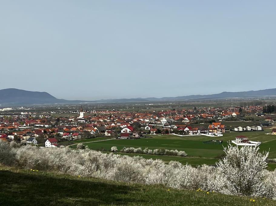 Pineview Lempes Villa Braşov Buitenkant foto